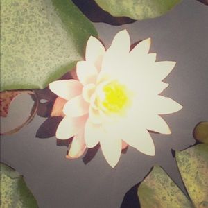 Casual, classy, professional, boho